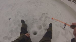 ЗАКРЫТИЕ сезона ЗИМНЕЙ РЫБАЛКИ на реке ОБЬ в БАТУРИНО. РЫБАЛКА на СУДАКА, ОКУНЯ и СОРОГУ зимой.