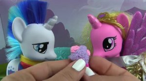 Моя маленькая Пони! СВАДЬБА Шайнинг Армор и Принцесса Каденс Ребята!