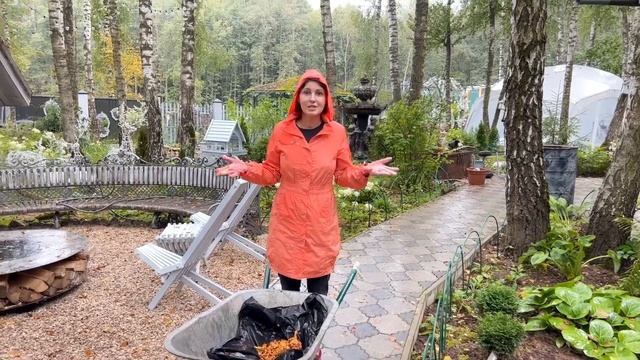 Грибы срезать или выкручивать? смотреть онлайн