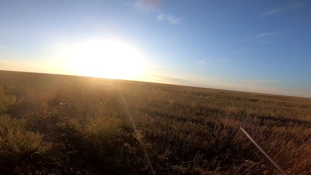 Утка перла как дурная ЁКЛМН Вот это охота!!! Охота на утку осенью Охота на уток на полосе из скрадк смотреть онлайн