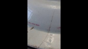 Пирожковое большое блюдо фабрики А. В. Фёдоровой в Кунгуре до 1902