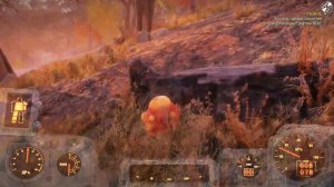 Как избавиться от бага с силовой броней в Fallout 76