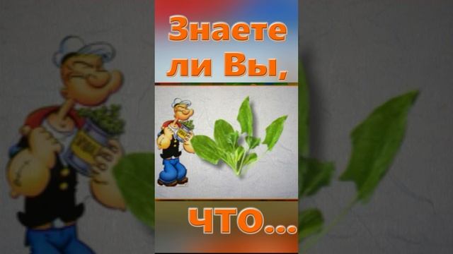 Знаете ли вы, Что? Чипсы