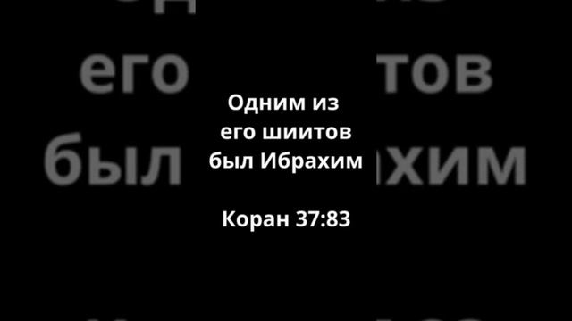 Закир Найк о шиитах. Шииты о Закире