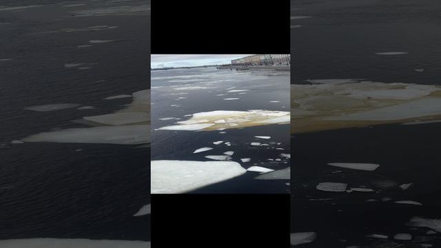 скорость течения Невы смотреть онлайн