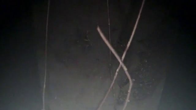 Первы кадры с газопровода "Северный Поток"