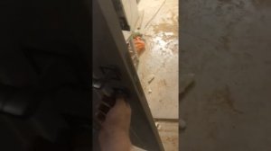 Установка межкомнатных дверей профиль дорс