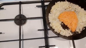 Подлива из лесных грибов/ в сметанном соусе