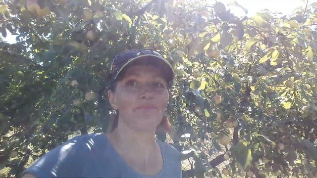 ХИТРУК ЕЛЕНА@ РЕШИЛА ???ПОБЛАГОДАРИТЬ СВОИХ ПОДПИСЧИКОВ ?