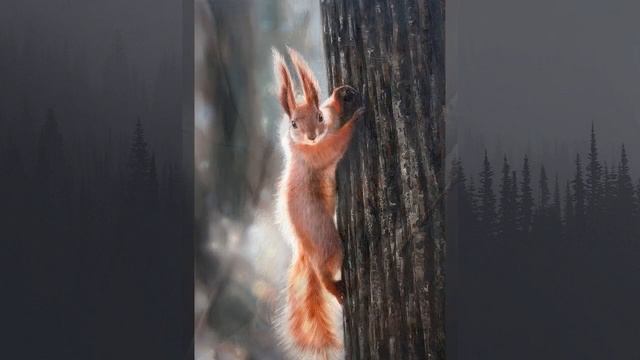 Животный мир России. Белка смотреть онлайн