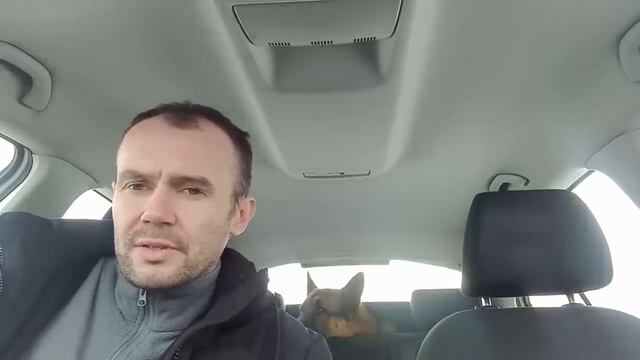 Мнение толпы= мнению обоссаного бомжа смотреть онлайн