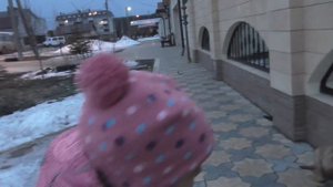 Влоги #ЩЕНКИ #Смешные собаки Идем кормить собачек #ВИДЕО про ЖИВОТНЫХ для детей #Алиса