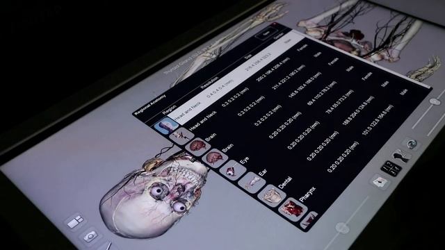 АНАТОМАЖ - виртуальный анатомический стол смотреть онлайн