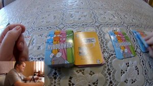 Обзор и лэтсплей настольной игры "Мухобойка".