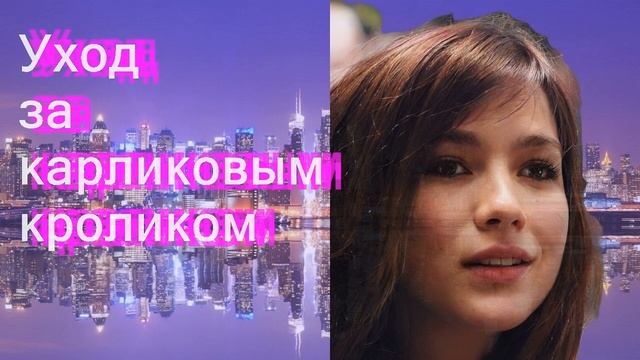 Уход за карликовым кроликом