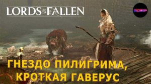 Lords of the fallen ➤ Это дичь какая-то (Гнездо Пилигрима) ➤ Прохождение #3 на русском