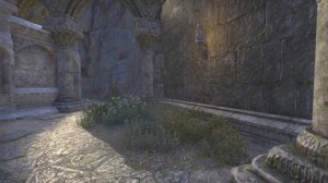 Colossal Almderi Grotto Tour! ESO Summerset Home! Elder Scrolls Online