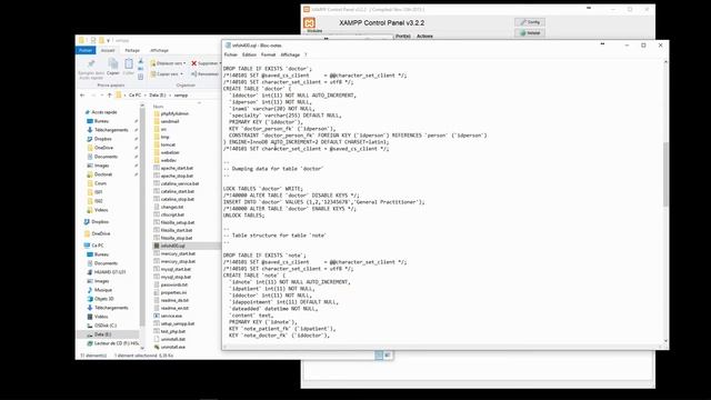 Exporting and Importing Databases | Information System 4 смотреть онлайн