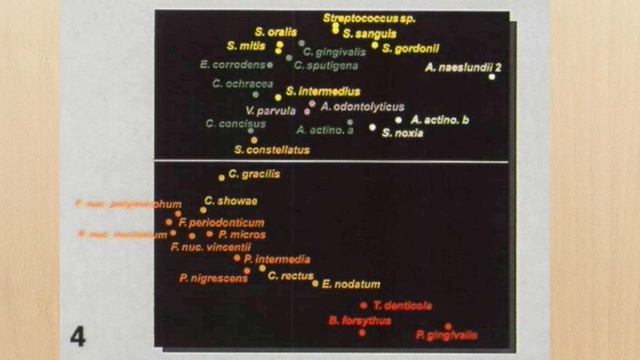 Prova de Periodontia Comentada - Concurso Público Para Dentistas - Guarapuava - PR - 2019 смотреть онлайн
