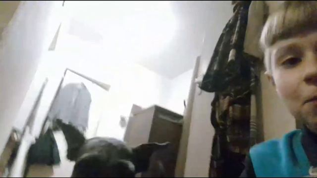 Создали Mod, 1 000 000 gems 🌏, вернули ящики. Brawl Stars, Я дома смотреть онлайн