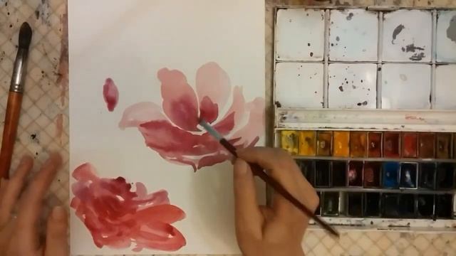 Рисование акварелью. Красивые нежные цветы акварелью. Рисование,живопись. Картина.