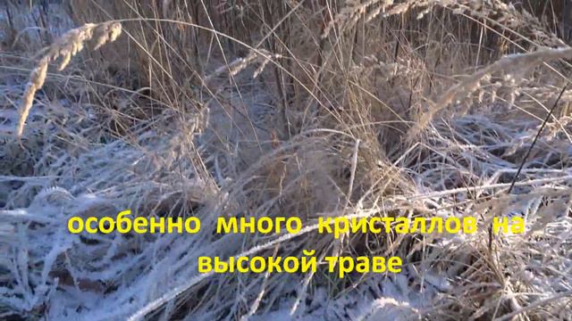 Ледяные кристаллы на траве