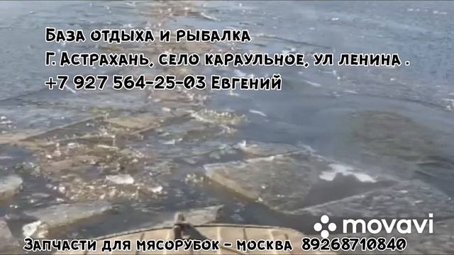 Астрахань рыбалка охота дом егерь караульное щука судак птица катер 70 л.с 200 л.с смотреть онлайн
