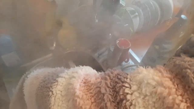 Грибы шампиньоны смотреть онлайн