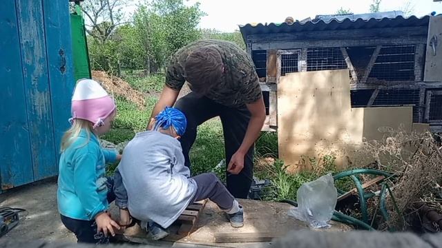 Ящик для перевозки маленьких поросят