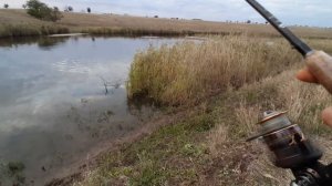 29 сентября 2022 г. Ловля щуки на МАНЫЧЕ осенью.