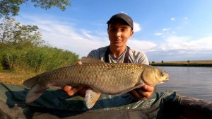 Ловля амура в его логове. Нашли дом амуров и наловили кучу амура. Август выдаёт сюрпризы