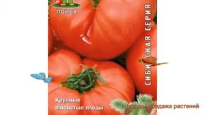 Томат обыкновенный Японский краб (yaponskiy krab) ? обзор: как сажать, семена томата Японский краб