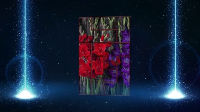 ГЛАДИОЛУС – ЦВЕТОК-МЕЧ (любимый Tetris) (Gladiolus) смотреть онлайн