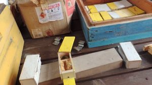 Нуклеус ВСЕГО 10  ПЧЕЛ для облета матки!!! /Пасека 2018/1000 ПЛОДНЫХ МАТОК ЛЕГКО?