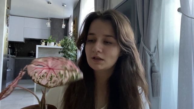 Зелёный VLOG || Цветок в горшке, магазин растений | Покупка и распаковка новых растений смотреть онлайн