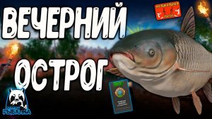 РР4/ рыбалка для души, ловим как универсал, общаемся 23.12.23