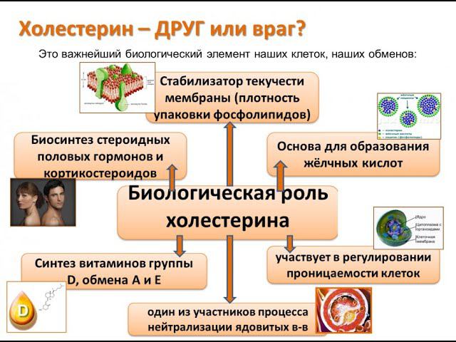 Положительная  и  отрицательная  роль холестерина,  и  его  контроль с  помощью  продуктов  ФОРЕВЕР.