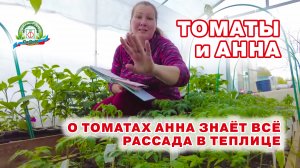 О томатах Анна знает всё! Слушаем её советы.