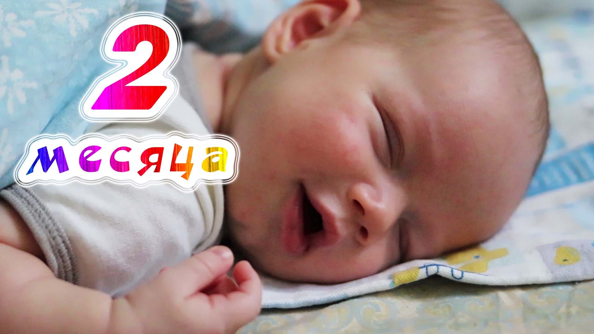 Малышу Фидель 2 месяца.