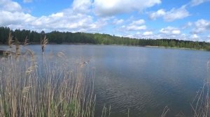 Спиннинг, берег, твичинг, воблеры летом