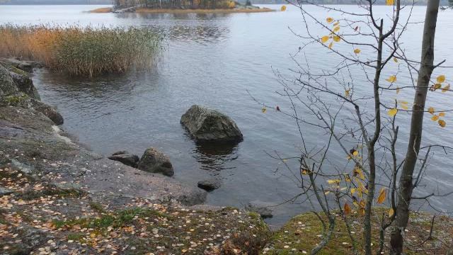 Борис Тельнов. Парк Монрепо смотреть онлайн