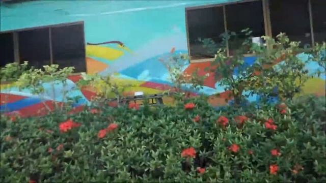 Phuket Wake Park | Full Day Trip 2017 смотреть онлайн