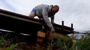 Как выжить в деревне.