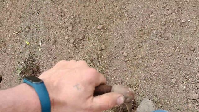 сажалка для рассады смотреть онлайн