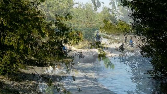 Рыбалка на Волге.Ловля карася и уклейки.Баклешка.Зарисовка.#Shorts