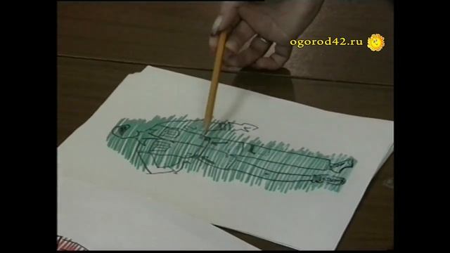 На даче выглядим стильно смотреть онлайн