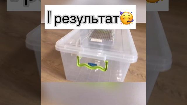 ?Как сделать домик хомяку из пищевых контейнеров/ Дом хомяку своими руками? смотреть онлайн