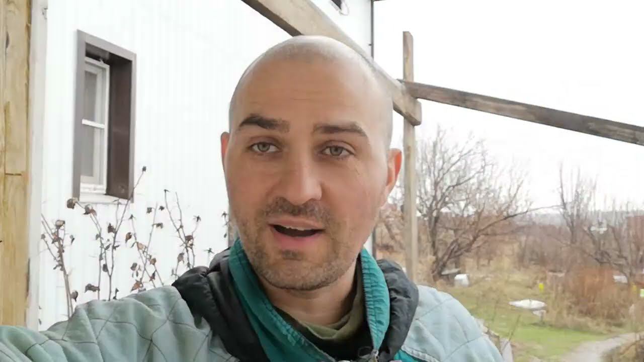 Весна у птицы, дождик и хорошее настроение