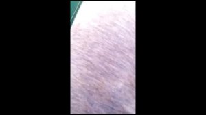 Ловля щуки в Бугурусланском районе