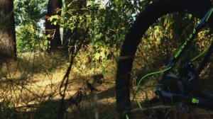 Обзор байка AIST ROCKY 1.0 DISC 29"